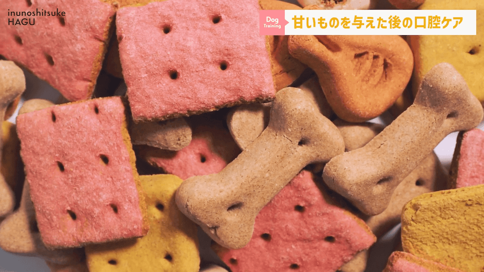 ワンちゃんに甘いものって大丈夫？「〇〇」には注意が必要です！