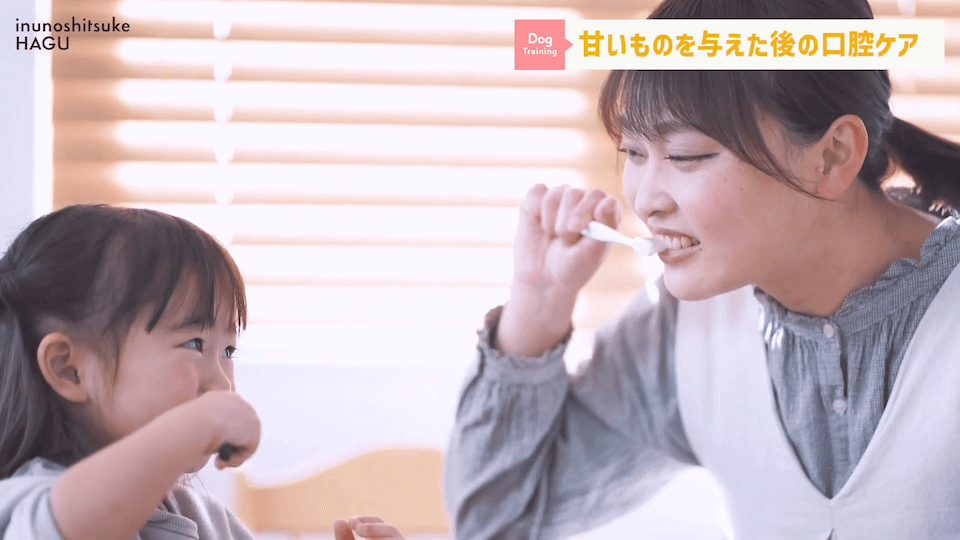ワンちゃんに甘いものって大丈夫？「〇〇」には注意が必要です！