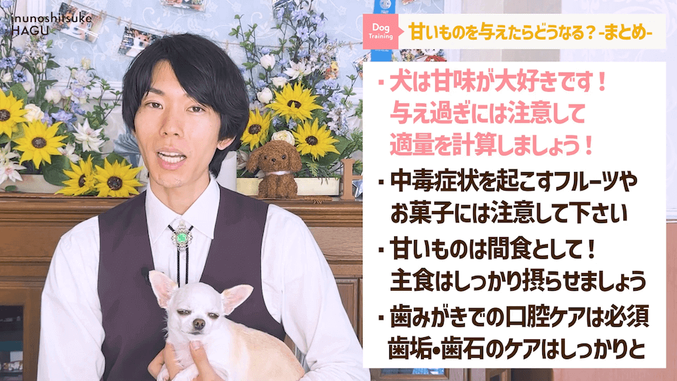ワンちゃんに甘いものって大丈夫？「〇〇」には注意が必要です！