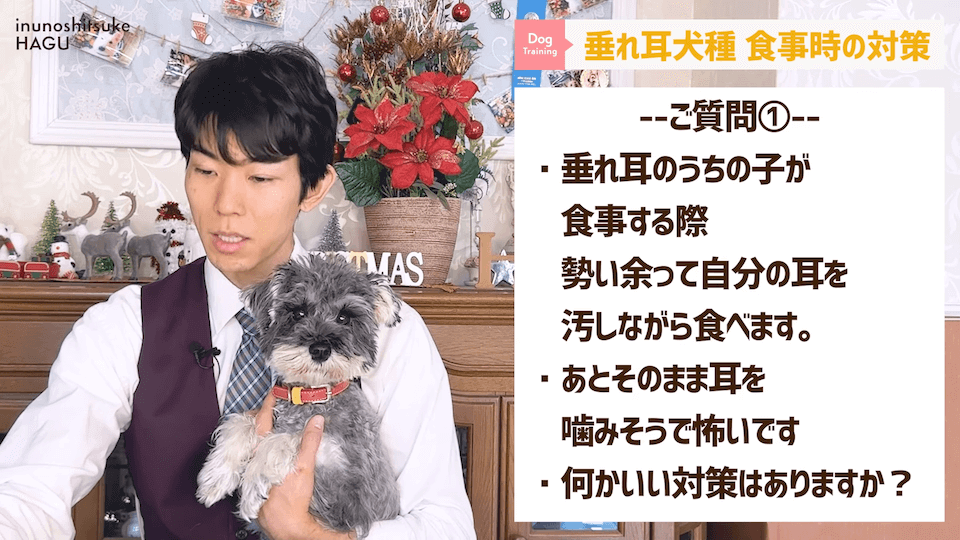 わんちゃんのあるある行動…その対策法をトレーナーが解説します！
