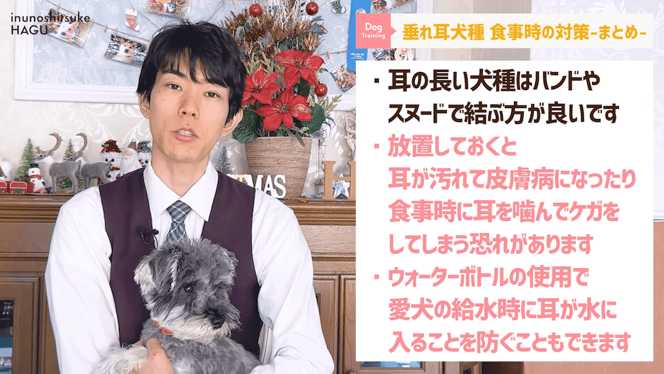 わんちゃんのあるある行動…その対策法をトレーナーが解説します！