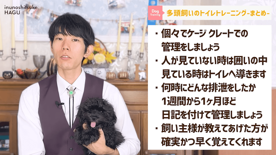 どうすればいい？！多頭飼いのトイレトレーニング方法を解説！