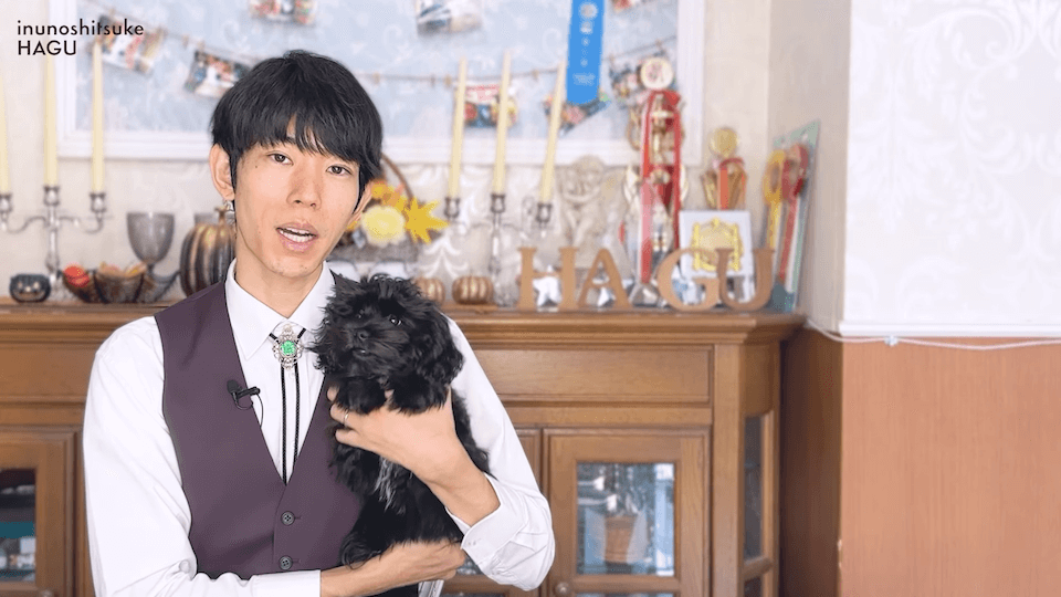 どうすればいい？！多頭飼いのトイレトレーニング方法を解説！