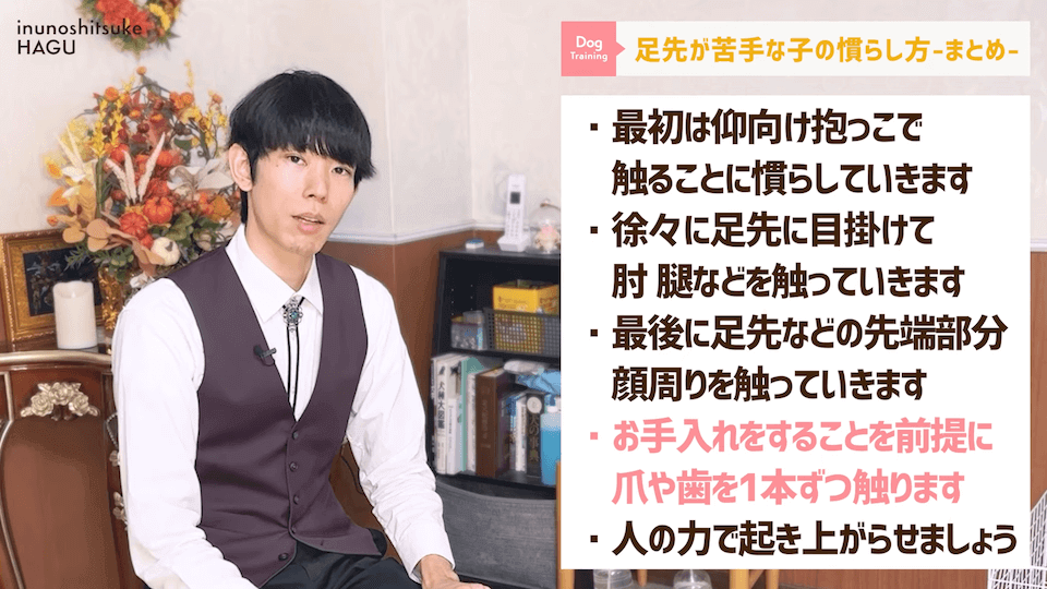 【初心者向け】抱っこに慣れていない飼い主さん必見！仰向け抱っこのやり方解説