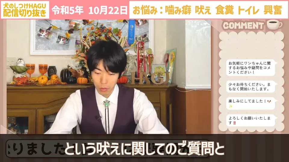 【切り抜き】興奮して吠え＆噛み癖！そしてトイレと食糞についてのご相談に回答！