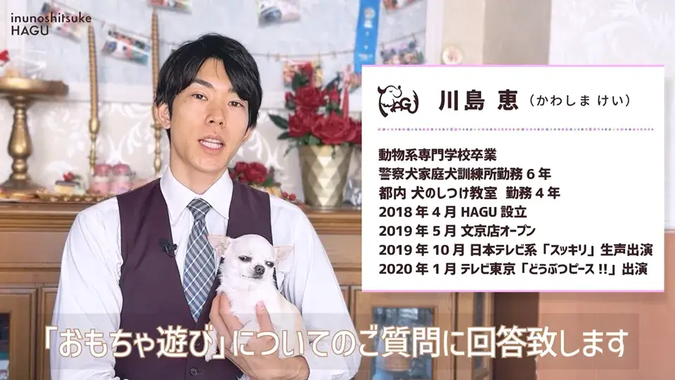 おもちゃ遊びがへたくそなワンちゃん…その原因をトレーナーが解説！