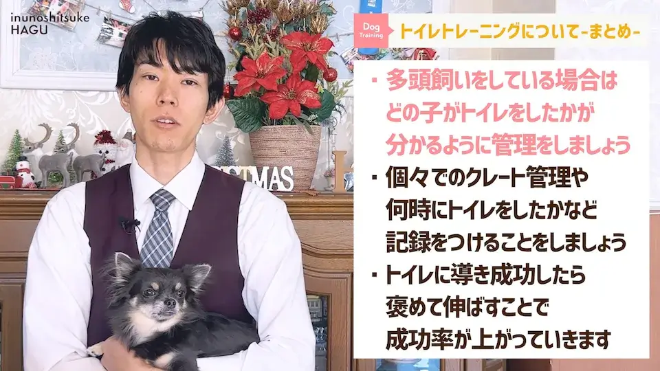 多頭飼い 愛犬の吠え・脱臼・トイレの悩みについてプロトレーナーが回答！