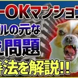 止めようとしても収まらない吠え癖!近所トラブルを起こさないための吠え解消法を解説します!