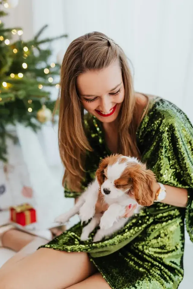 キャバリア cavalier 飼い主が見えない時鳴き、吠え、夜鳴きの対処方法