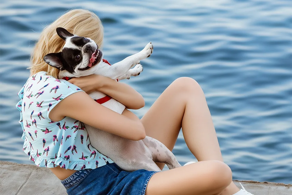 子犬の時期は、飼い主さんへの愛情表現の１つとして噛むことがあります。