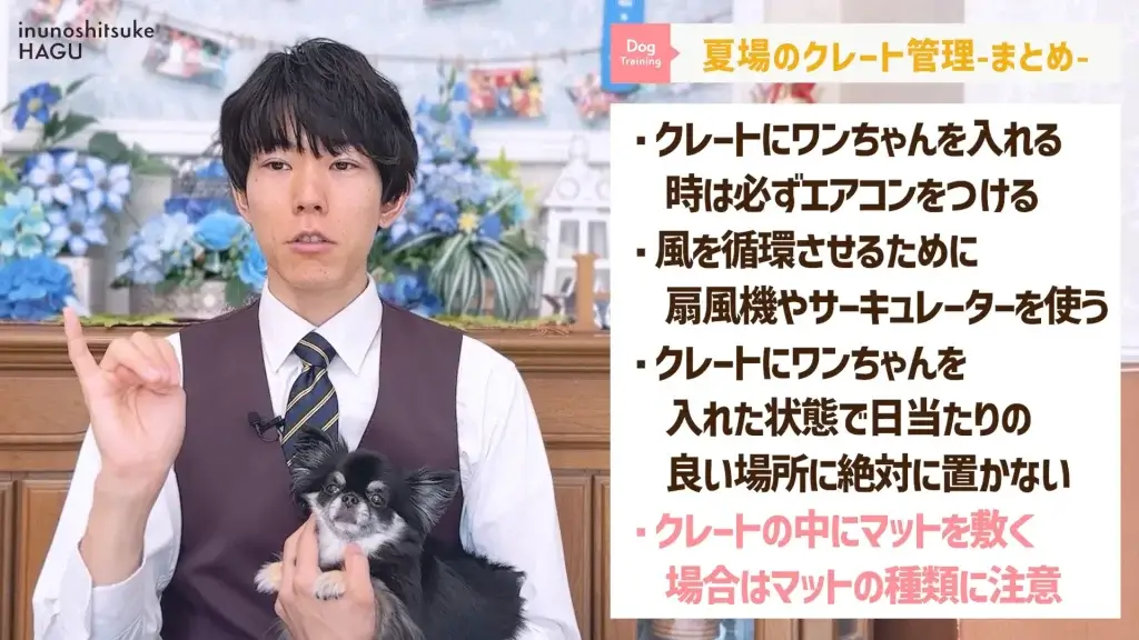 【熱中症】夏場のクレート管理には温度調整が必須！愛犬の健康と環境を守るために覚えて欲しい！