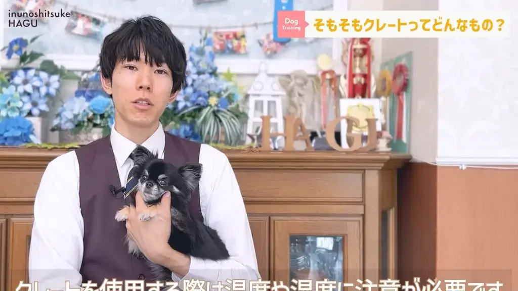 【熱中症】夏場のクレート管理には温度調整が必須！愛犬の健康と環境を守るために覚えて欲しい！