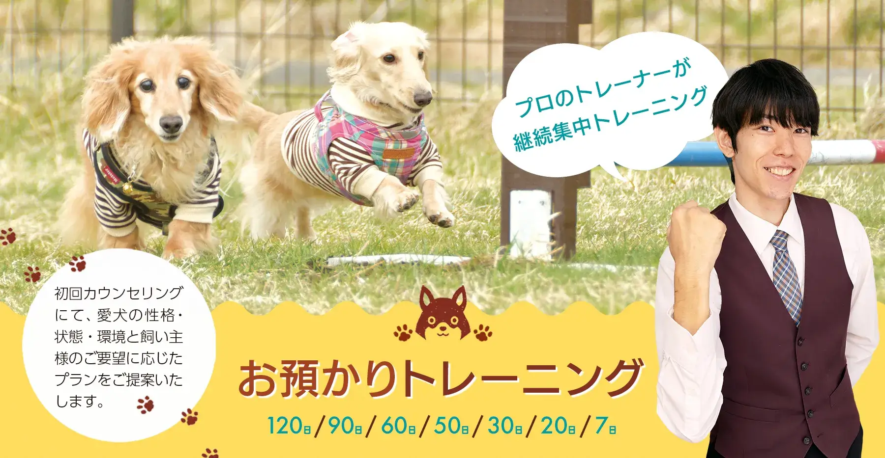 お預かりトーレーニング,世田谷区と文京区で愛犬と一緒に受講するドッグトレーニングから、プロトレーナーによるトイレのしつけ、マナー他、ご自宅までお伺いする出張ドッグトレーニングサービス、お散歩代行、LINE無料相談、ドッグホテル、ドッグ幼稚園、短期間お預かりトレーニング、初回カウンセリングご相談後オリジナルメニューをお作りいたします。犬のしつけハグ