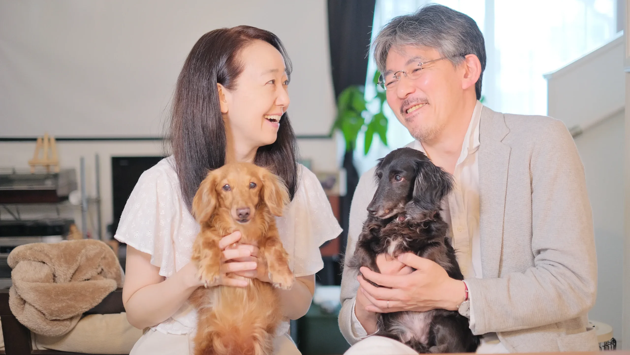 多頭飼いを成功させるための具体的なステップ
