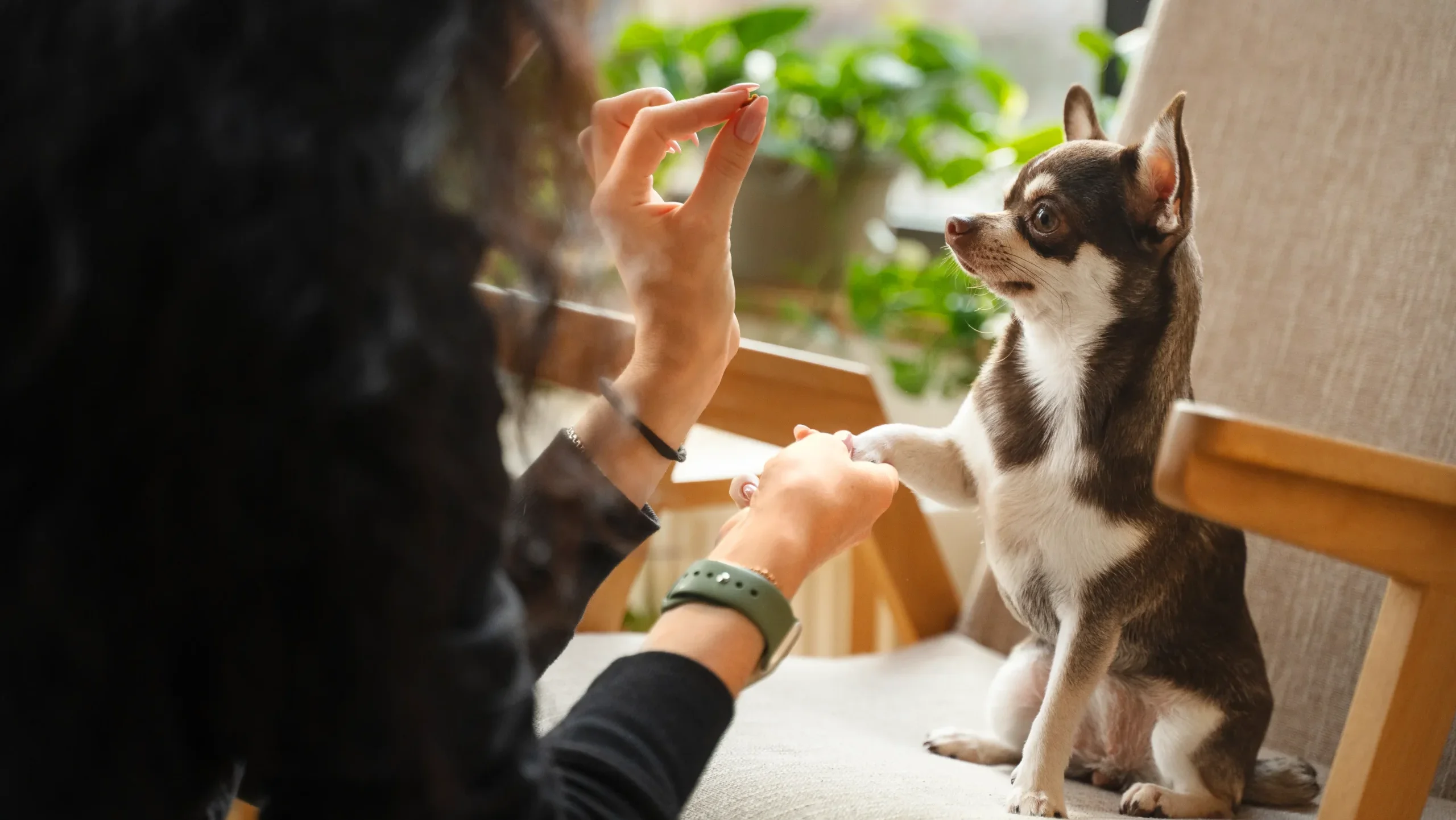 理想は「一瞬で溶ける」もの