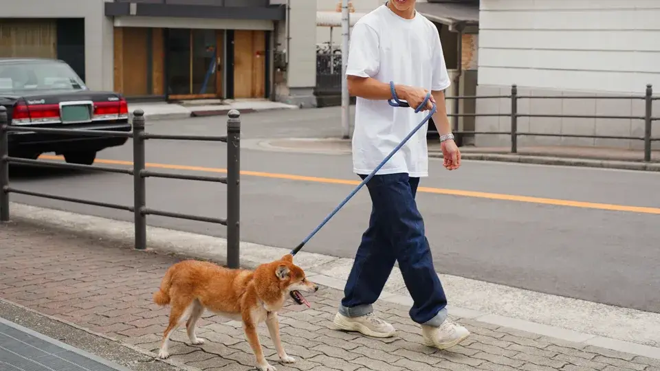 他の犬に吠える理由と対象方法