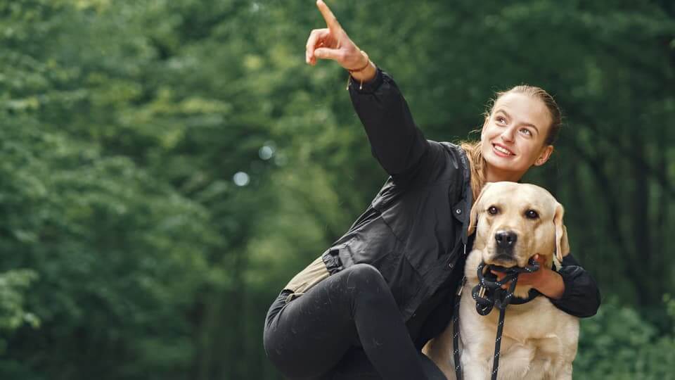 5. 愛犬の個性に合わせたアプローチを