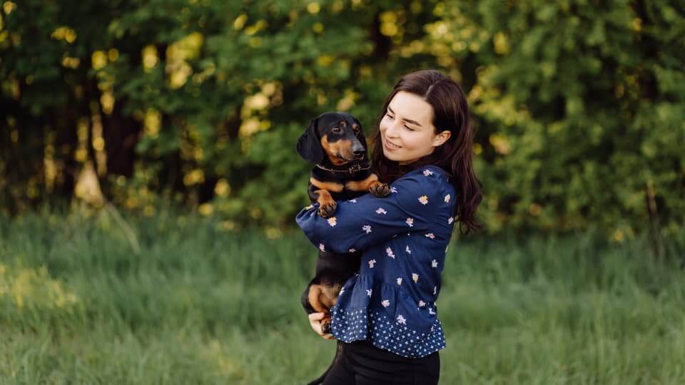 3. 抱っこ散歩の具体的な進め方と注意点