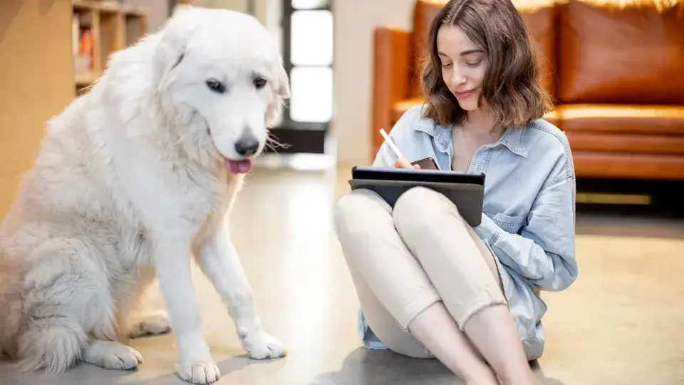 犬に指示語を教える方法