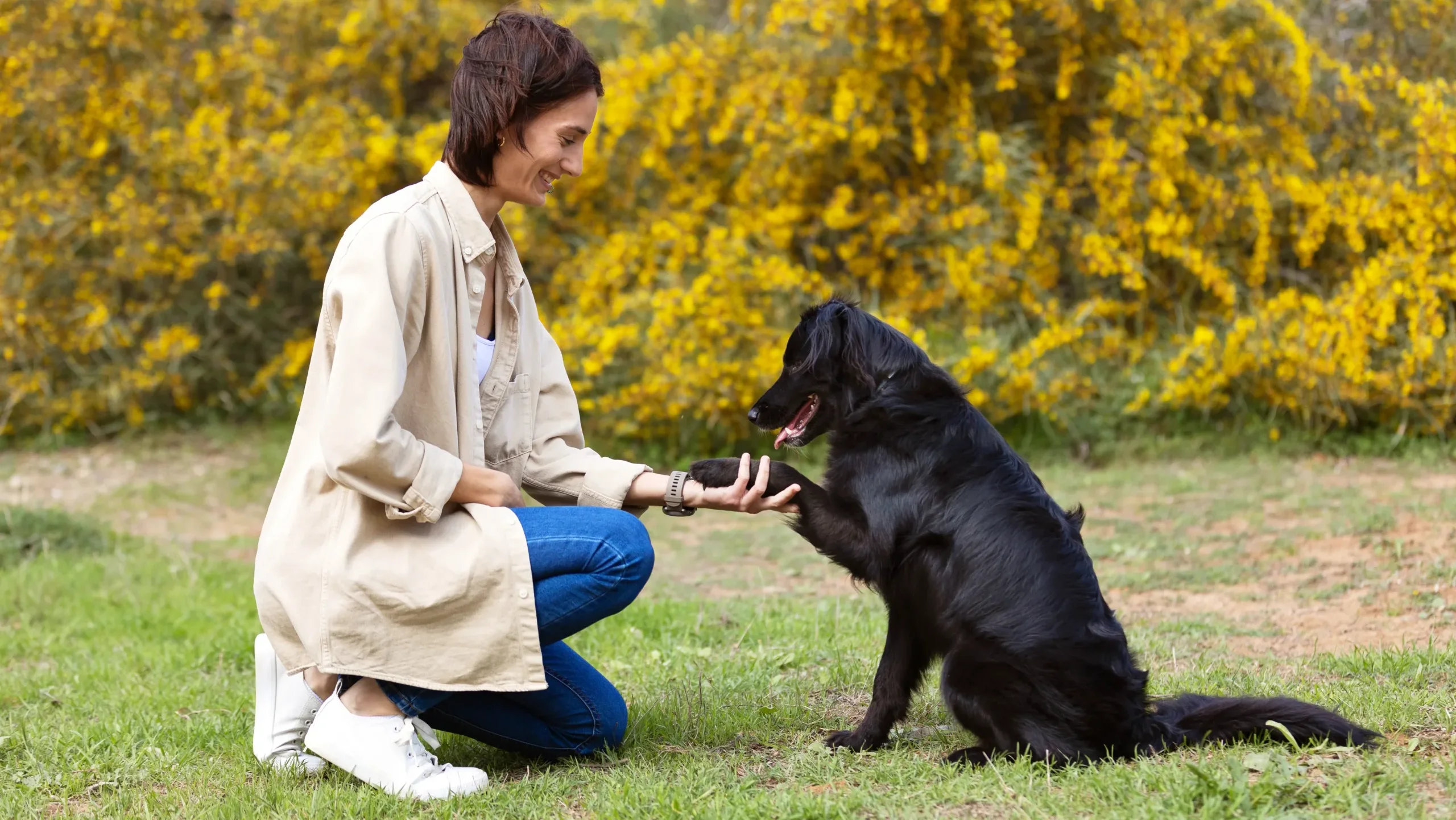 ご飯前の「芸のセット」はNG