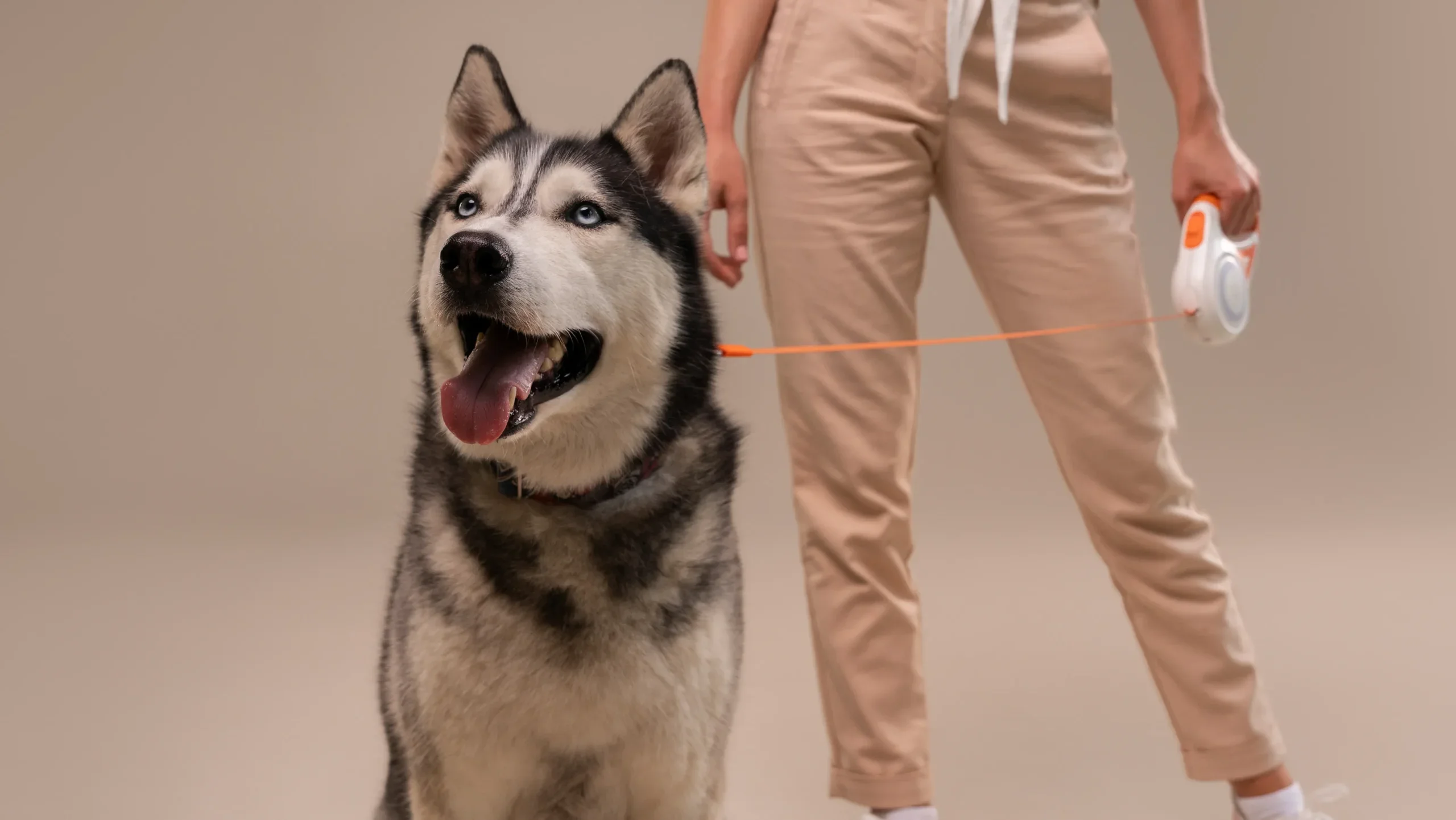 NG②：常にリードの端を持って生活する