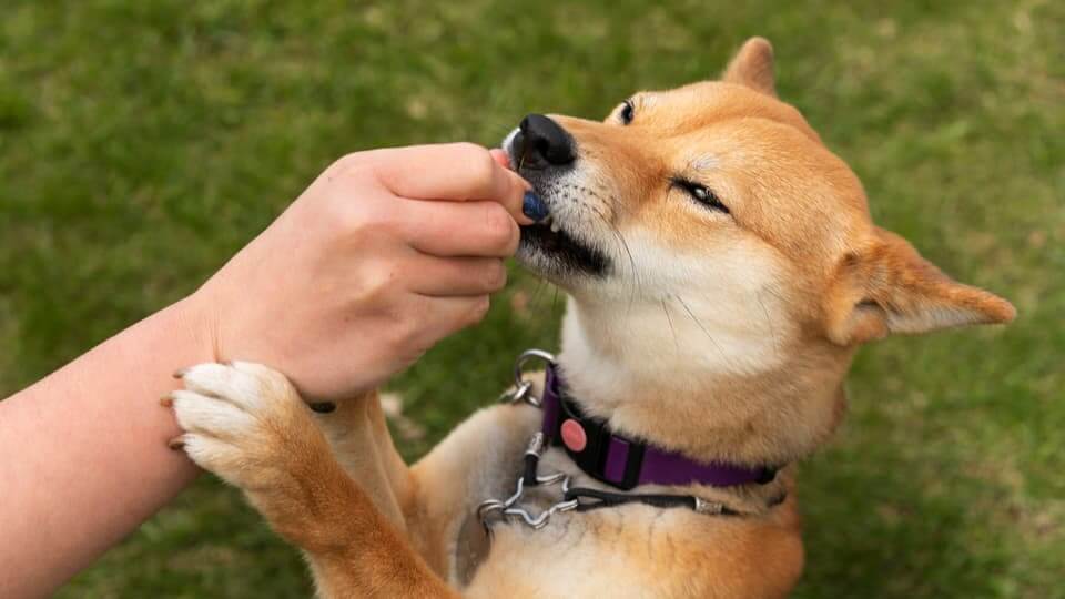 まとめ:根気と理解が改善の鍵