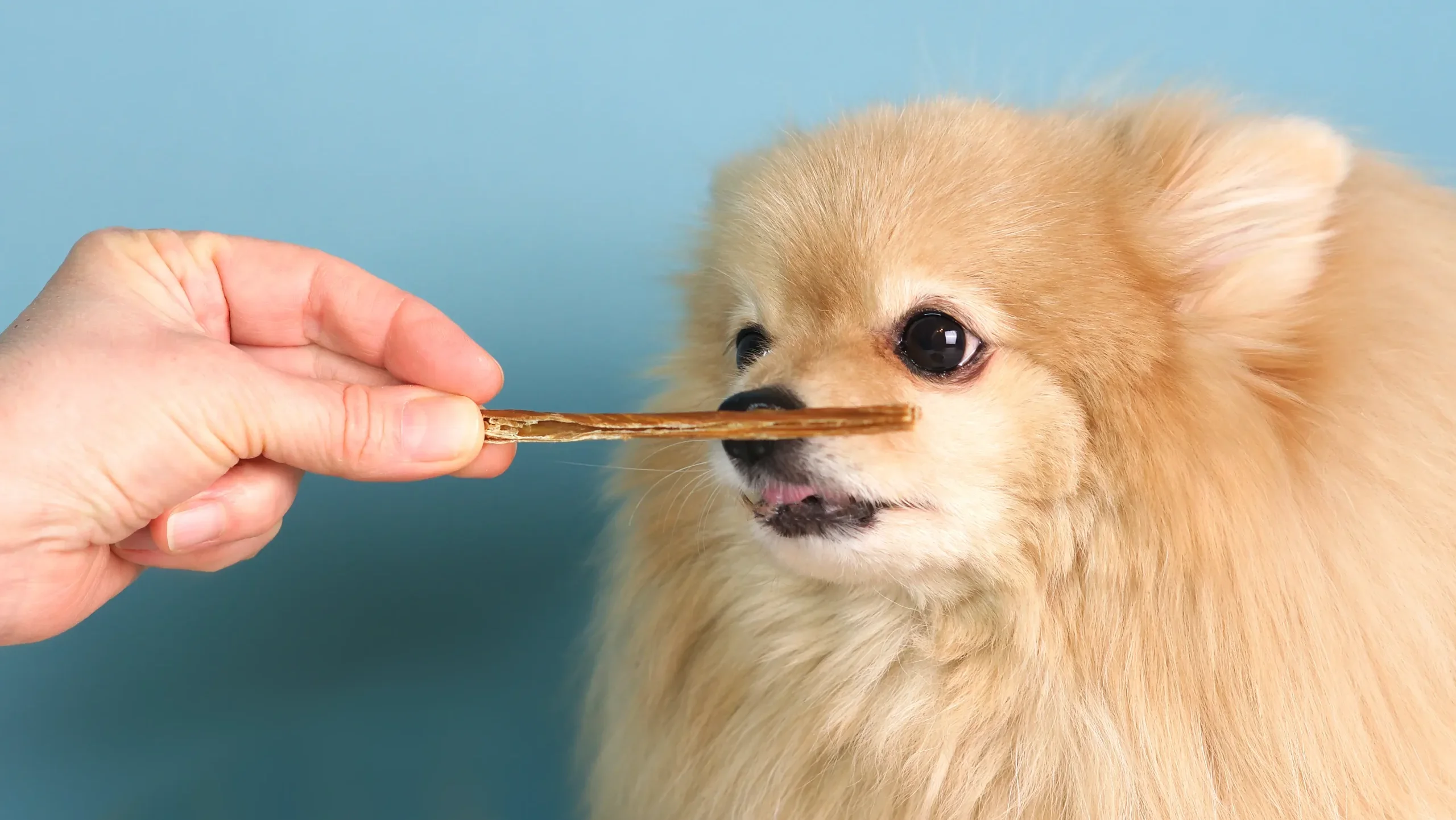 嗜好性の高い「匂い」を活用する