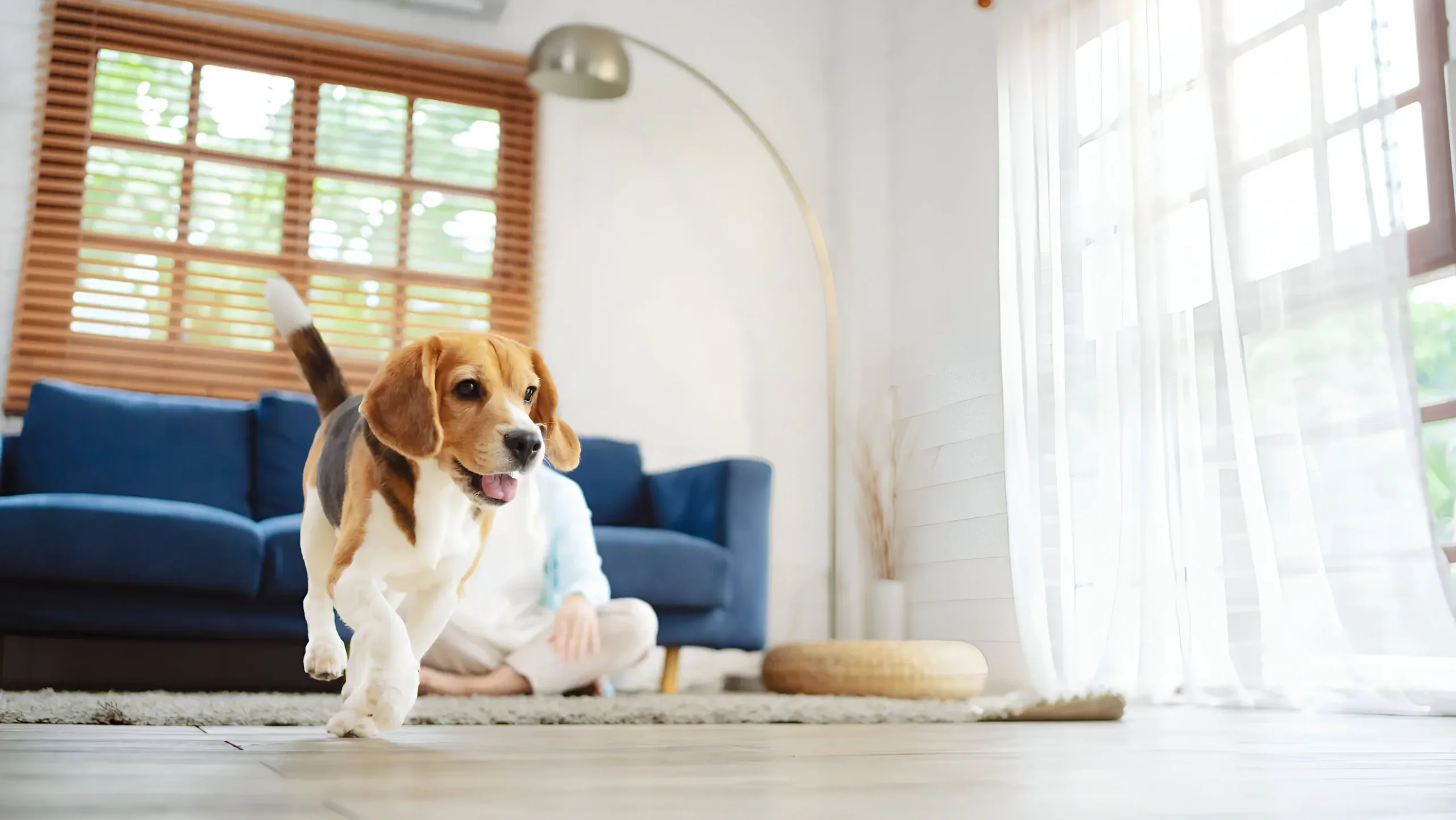 お家でのフリー中に「絶対に目を離さない」理由