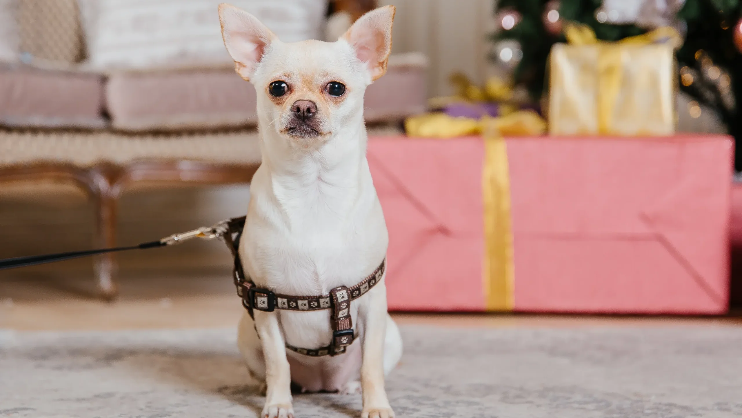 NG①：問題が起きてからリードをつけに行く