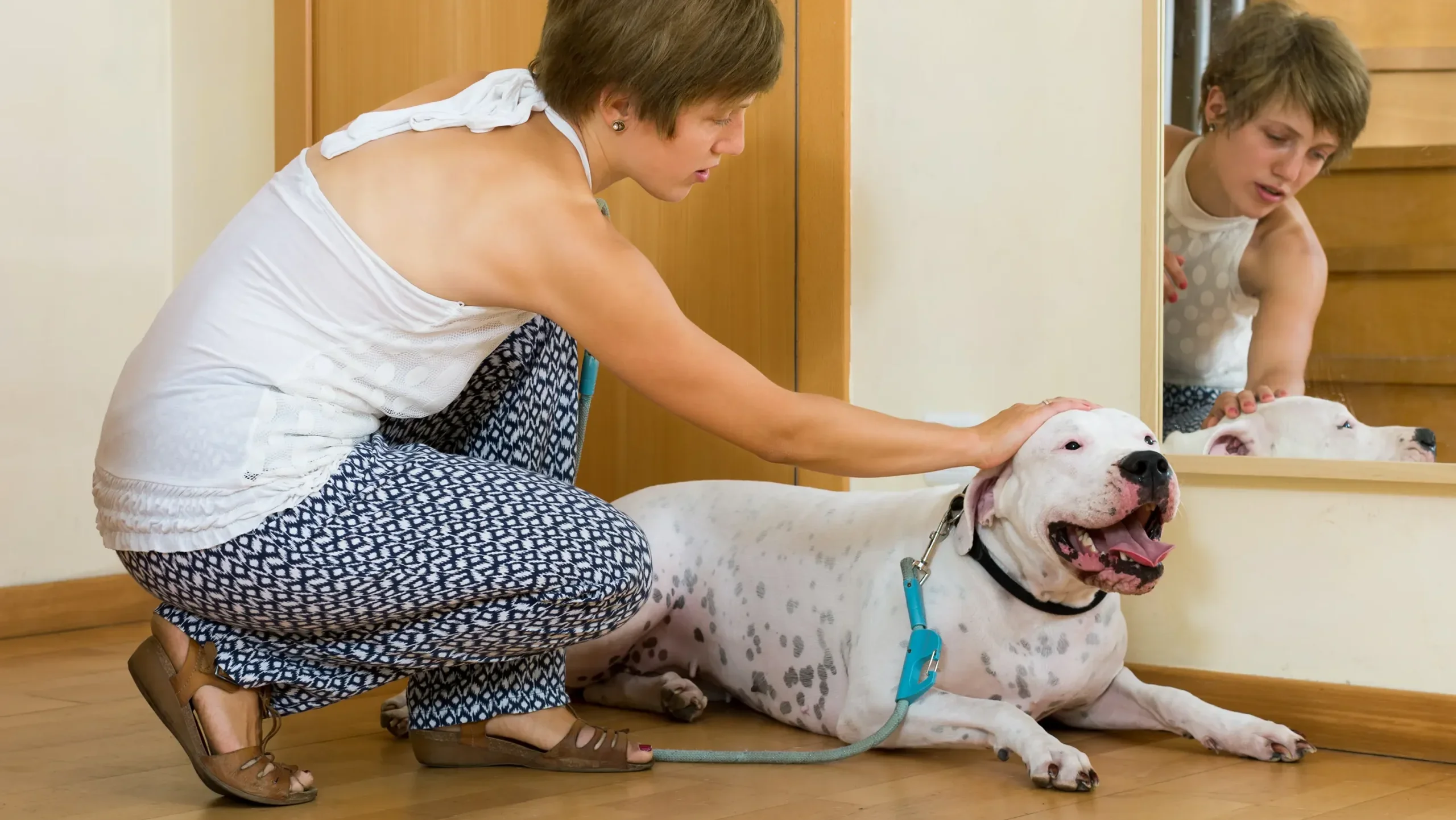 5. まとめ：自由の重みと飼い主の責任