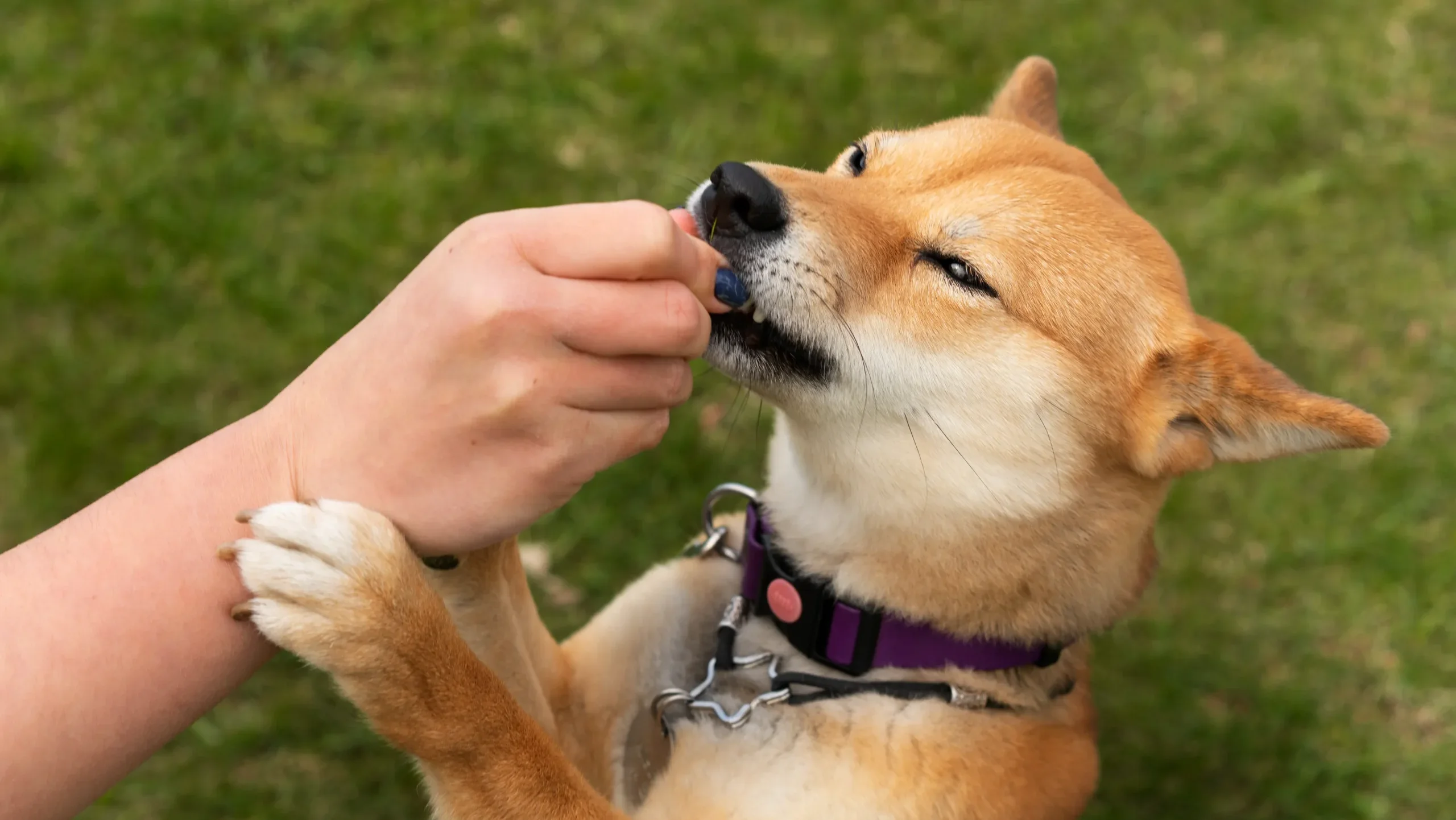 まとめ：自由を楽しむためのパートナーシップ