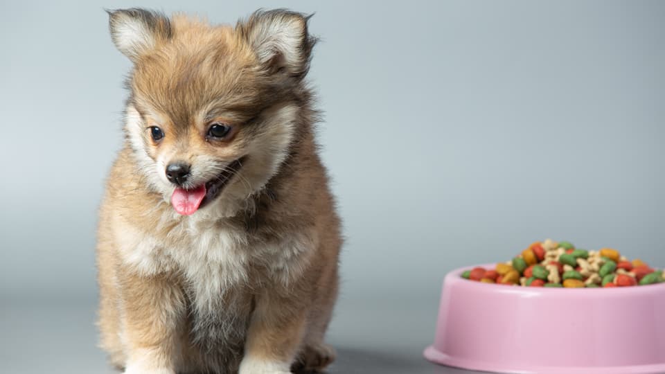 4. 信頼関係を壊さない「注意の流し方」