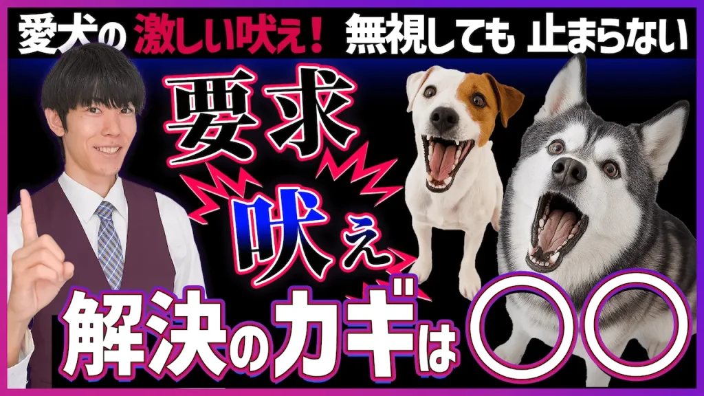 無視しても止まらない愛犬の「激しい吠え」を根本から変える!しつけのプロが教える「環境」と「心」の整え方