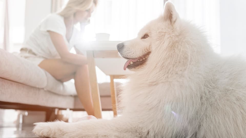 正しい無視とは「無反応」を貫くこと