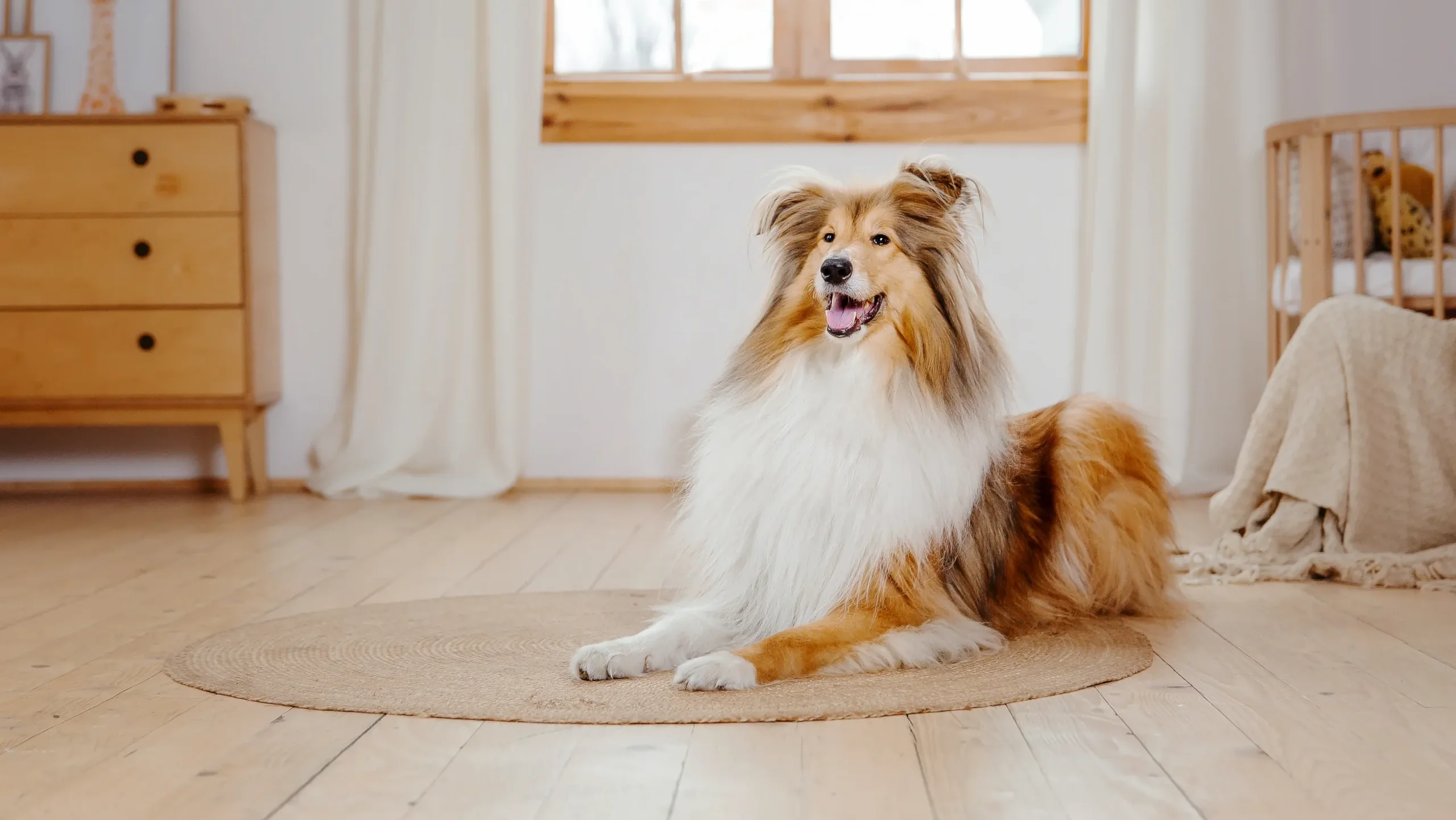 4. リードを外すためのステップと判断基準