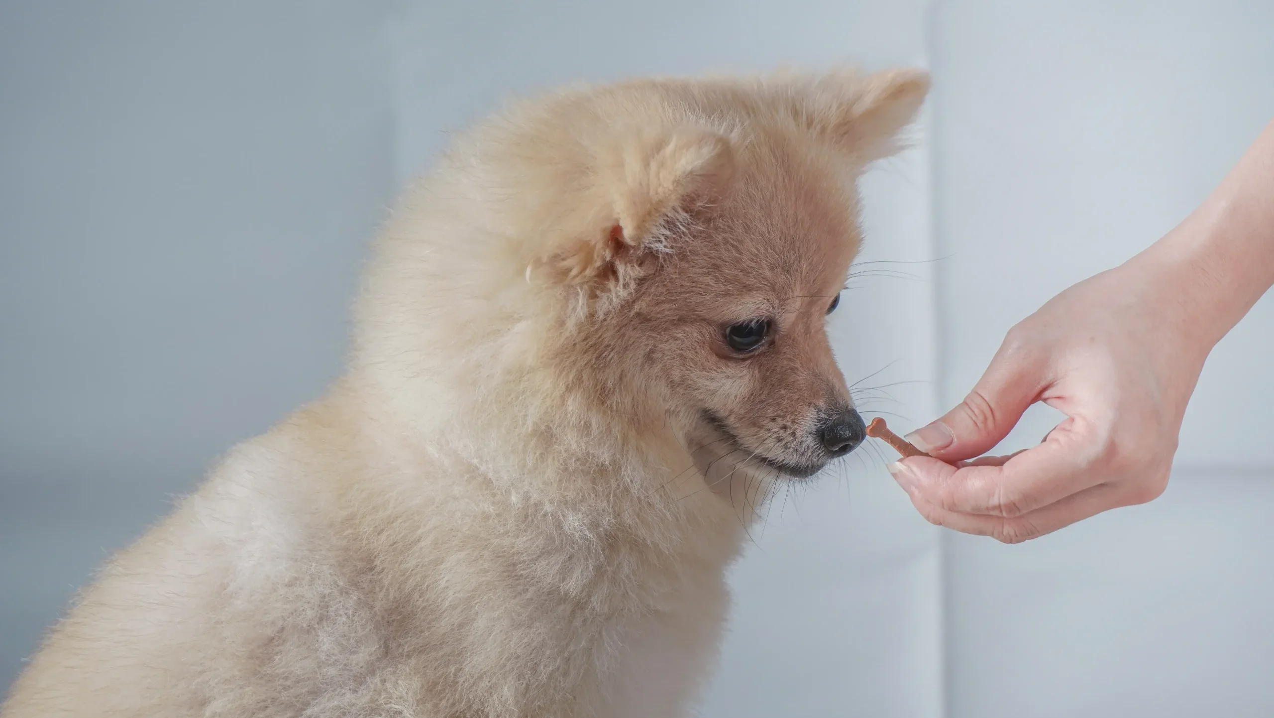 まとめ：自由を楽しむためのパートナーシップ