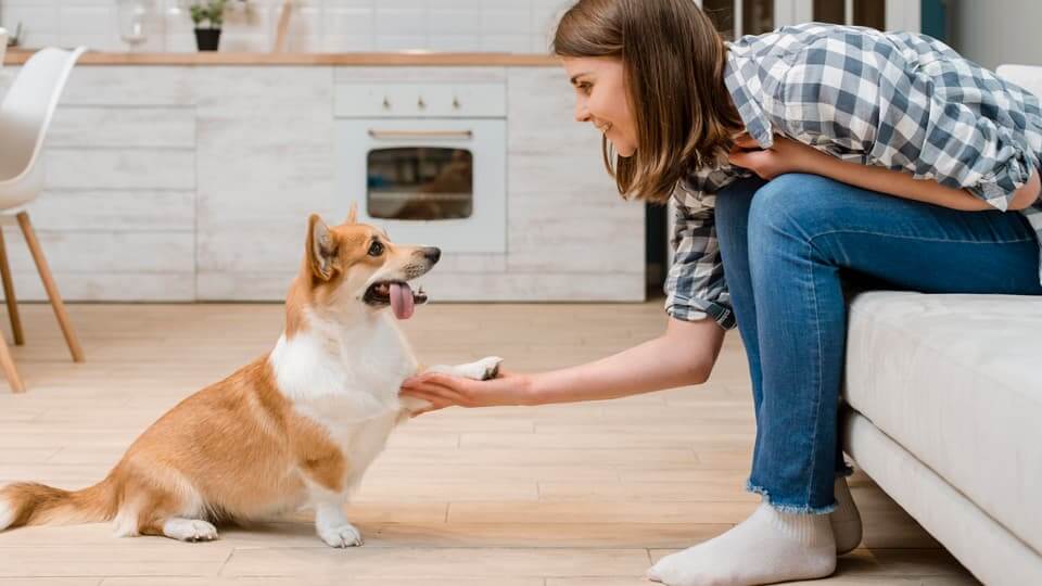 4. 時間と根気:軌道修正にかかる「コスト」を理解する