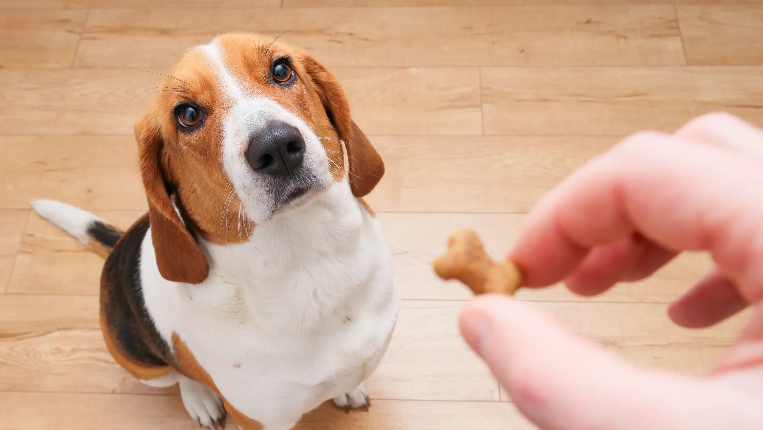 「行動の直後」に0.5秒で届ける