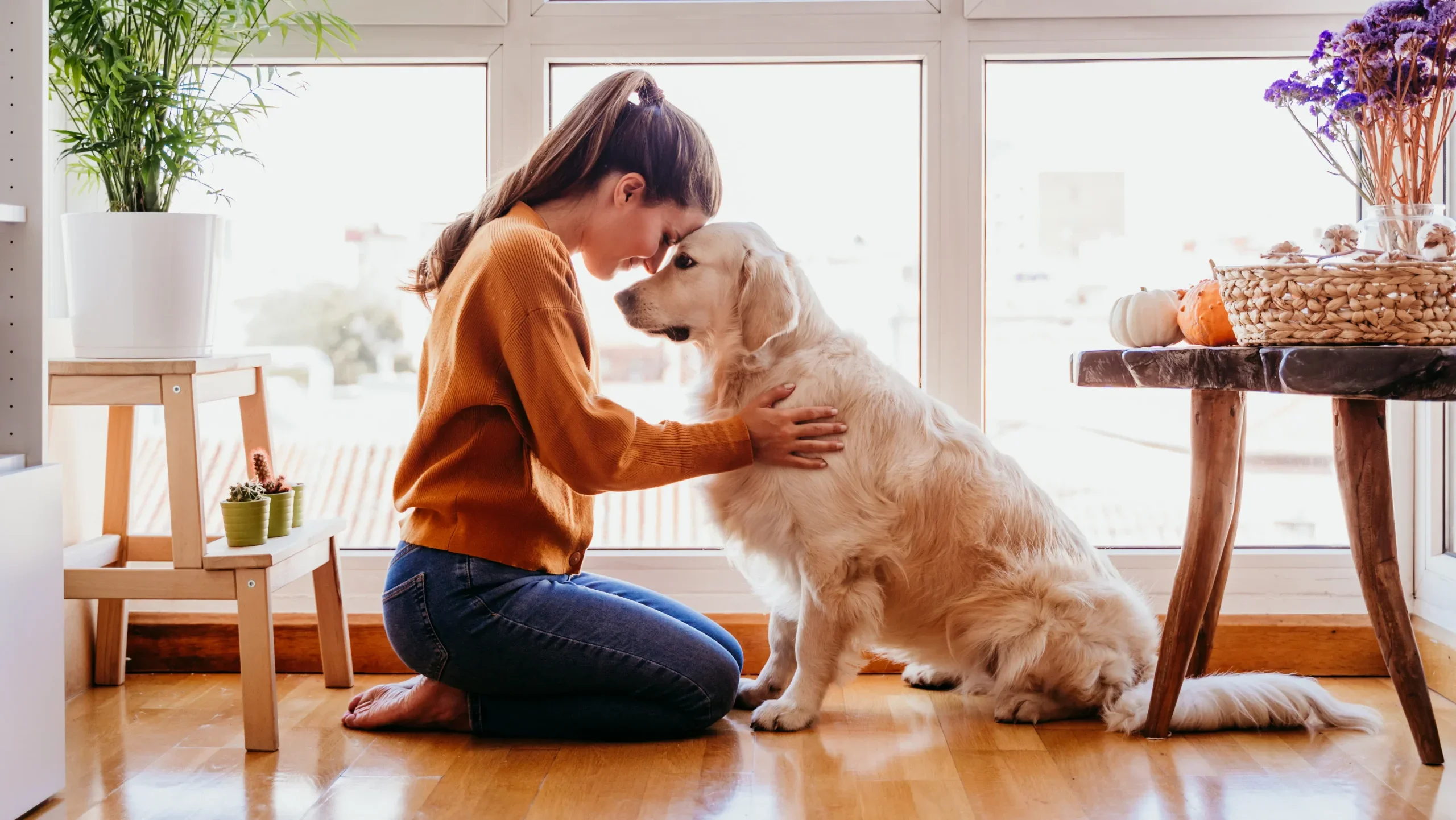 まとめ：愛犬のペースに合わせた歩み寄りを