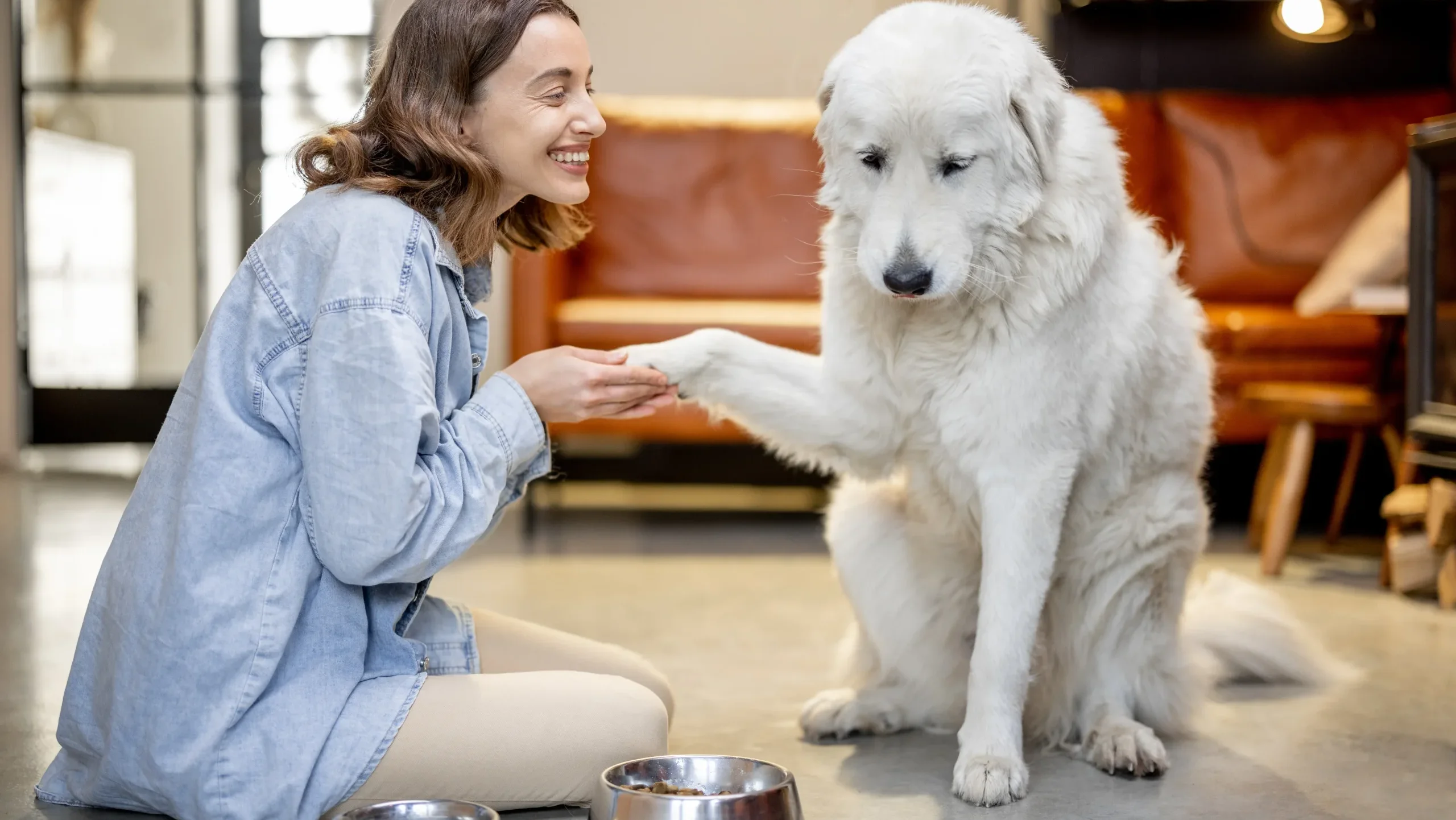 褒め言葉の価値を高める