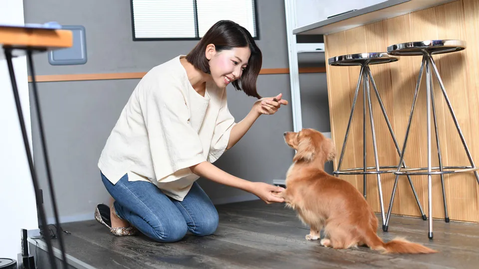 まとめ：今日からできる関係性の見直し