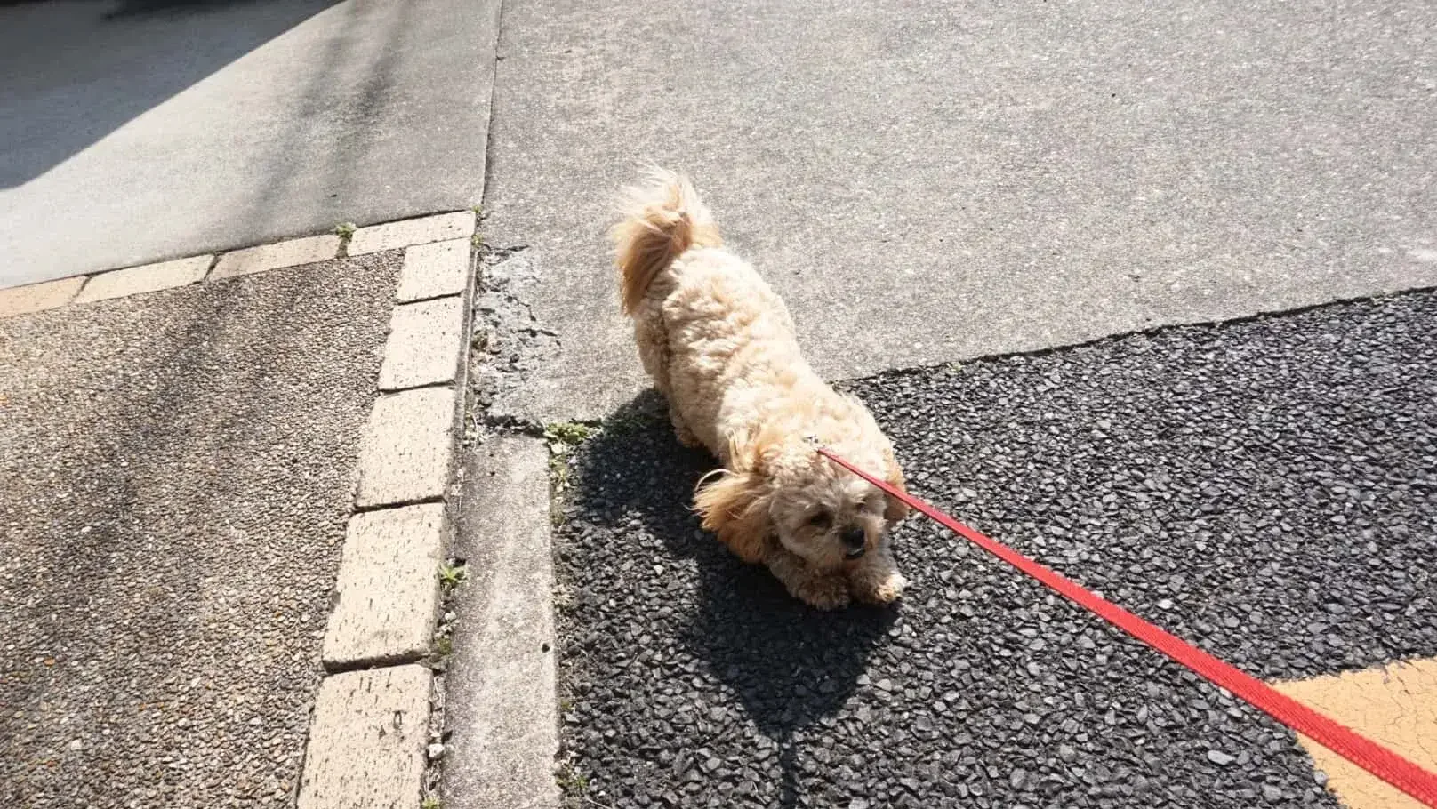恐怖で歩けない場合