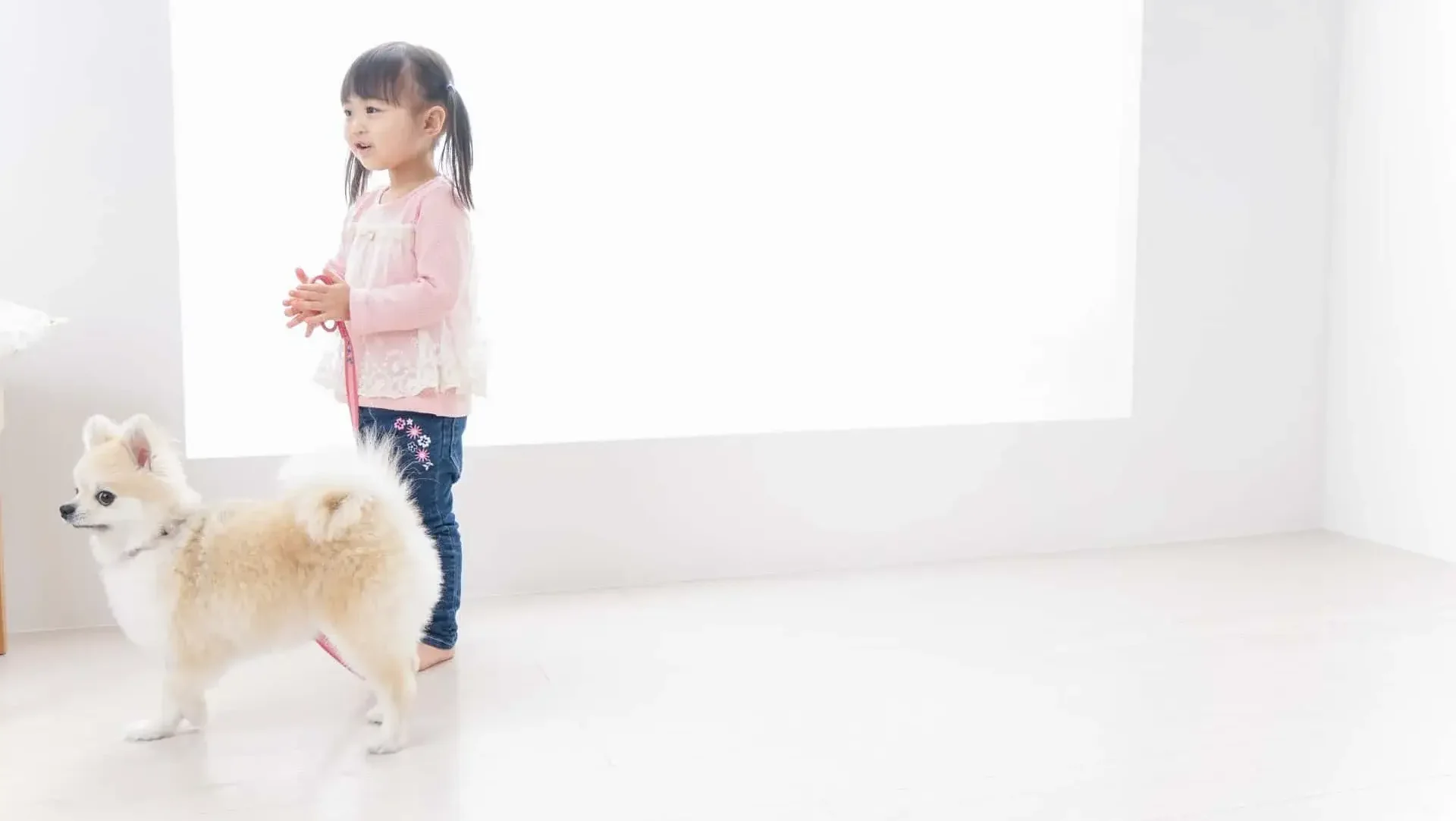 【最重要】トレーニングは「室内」からスタートする