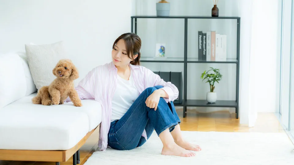 はじめに：愛犬が高い場所に乗ることを「当たり前」にしていませんか？