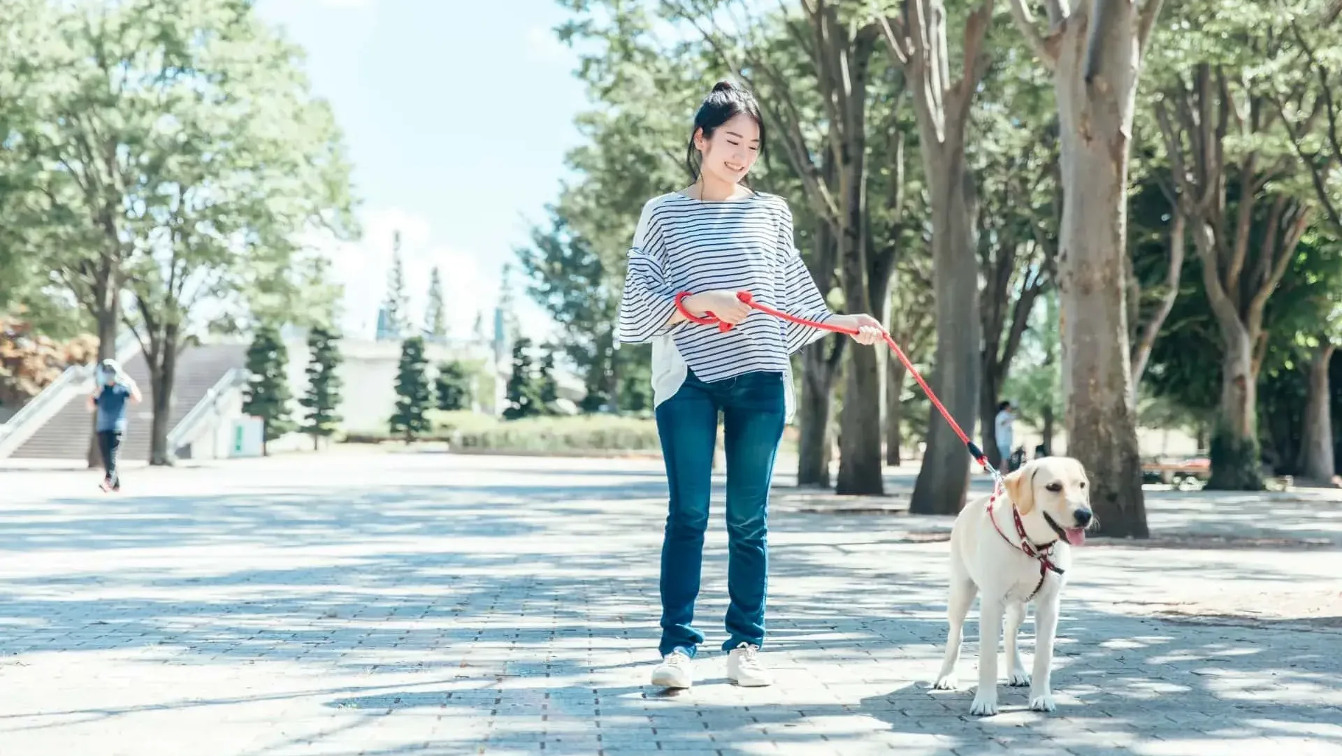 まとめ：主導権を握ることは愛犬への愛