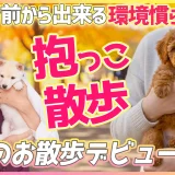 子犬のお散歩デビューはいつから？ワクチン前からできる「抱っこ散歩」のススメと注意点