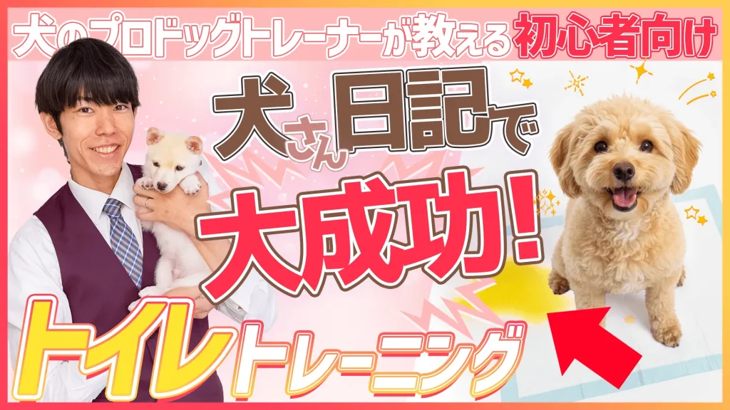 現役ドッグトレーナーが話す！ワンちゃんのトイレトレーニング方法について解説【初心者向け】