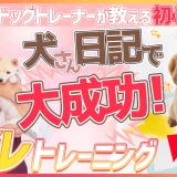 現役ドッグトレーナーが話す！ワンちゃんのトイレトレーニング方法について解説【初心者向け】