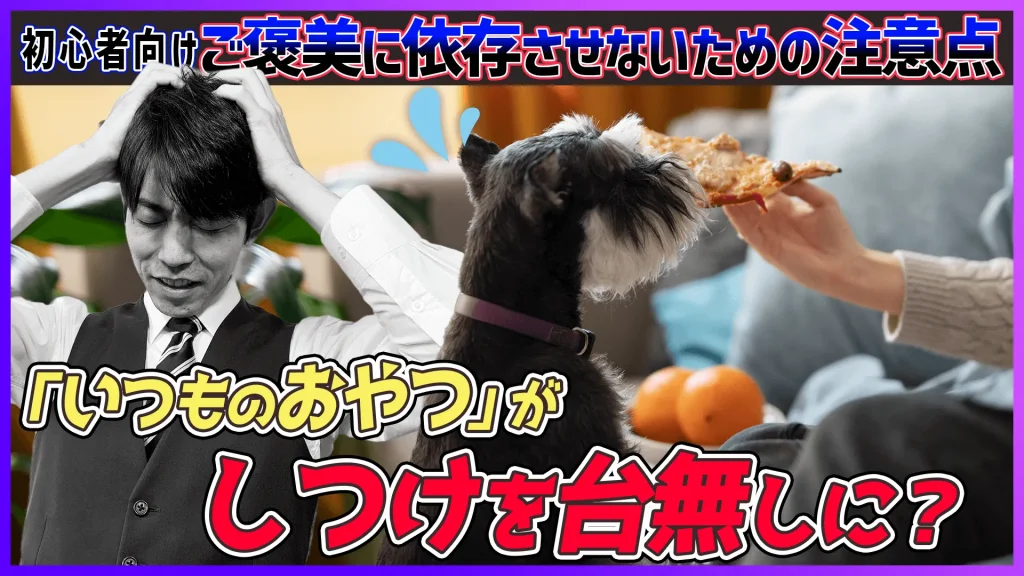 【「いつものおやつ」がしつけを台無しに？】ご褒美に依存させないための卒業テクニック