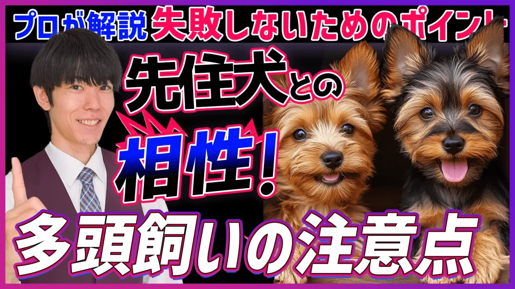 【多頭飼いの注意点】2匹目を迎える前に必見！先住犬との相性や失敗しないためのポイントをプロが解説